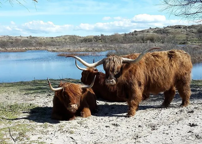 Buitenhuis Egmond Egmond aan den Hoef